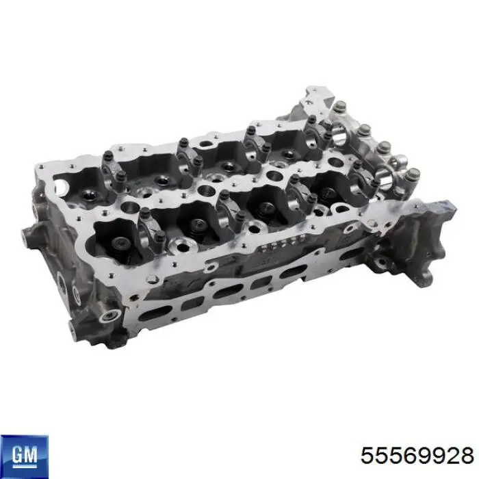 55569928 General Motors 