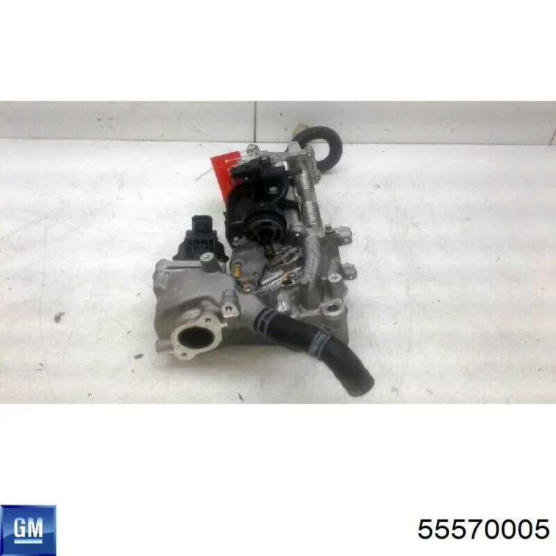 Клапан EGR General Motors 55570005 ціна, від 106.25 USD