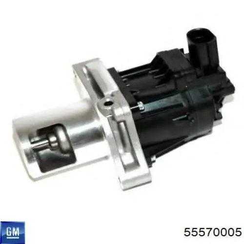 Клапан EGR General Motors 55570005 ціна, від 106.25 USD