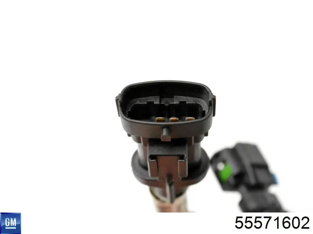 55571602 General Motors 