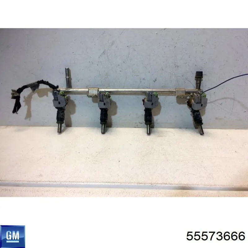55573666 General Motors 