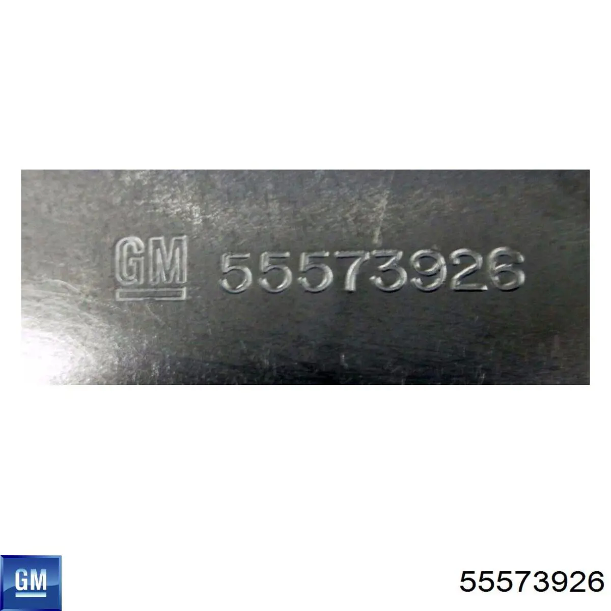 55573926 General Motors 