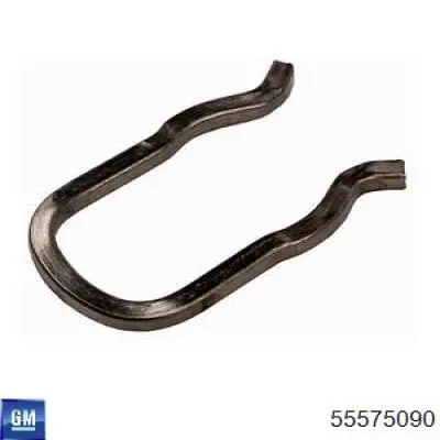 Купити 55575090 General Motors 