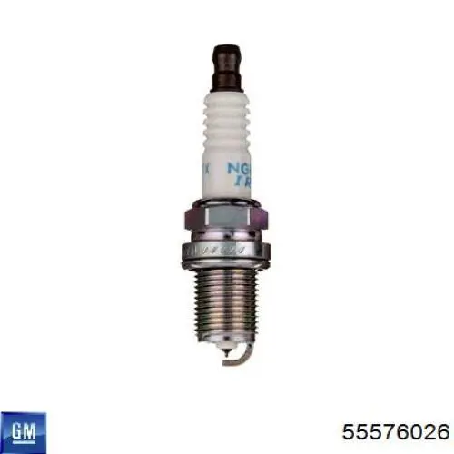 Купити 55576026 General Motors Свічка запалювання
