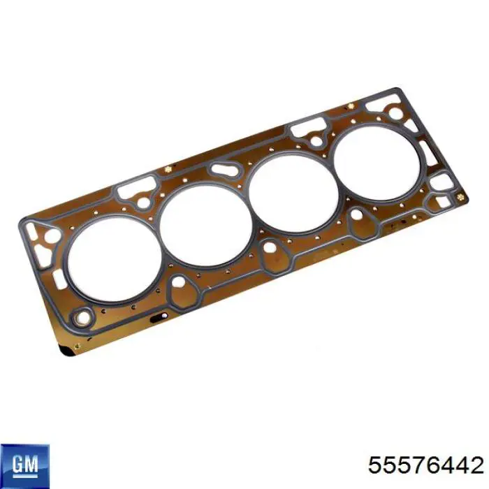 55576442 General Motors 