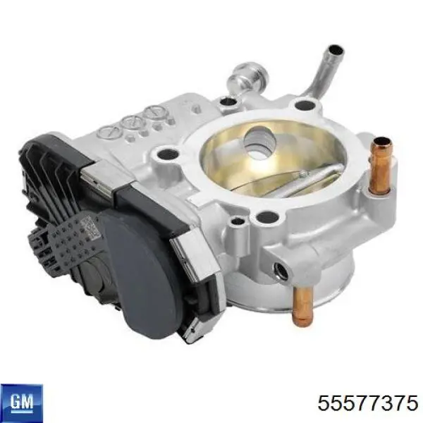 Купити 55577375 General Motors Дросільна заслінка