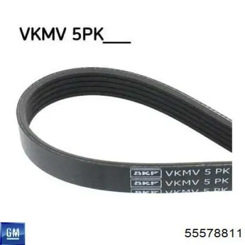 Купити 55578811 General Motors Ремінь генератора