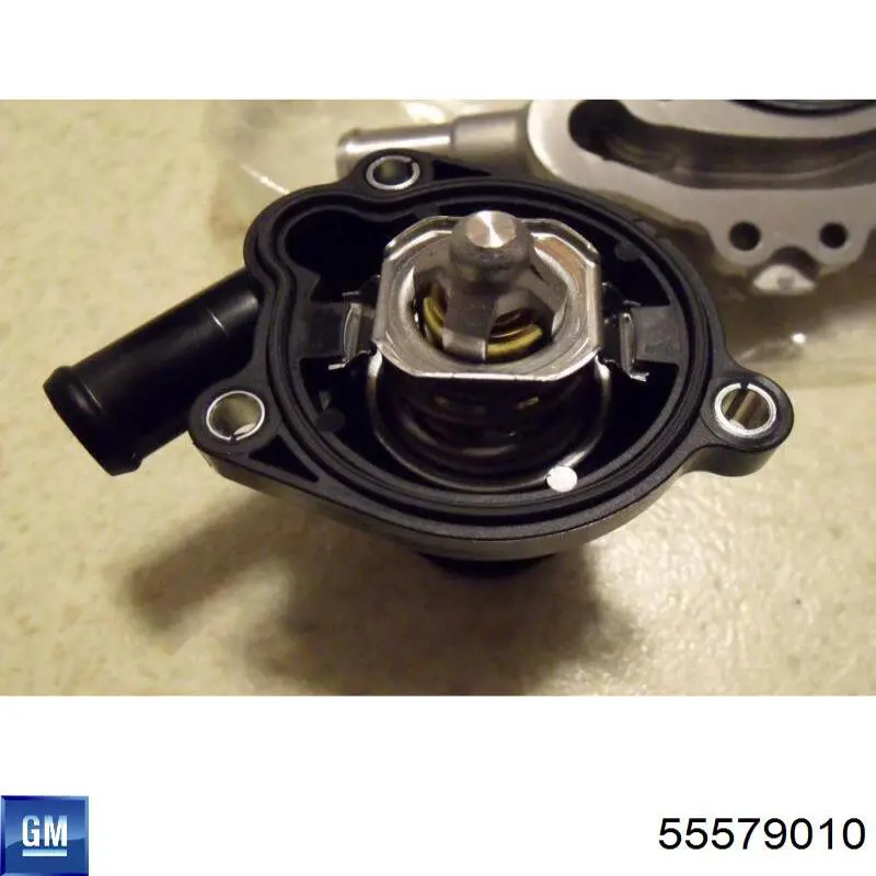 Купити 55579010 General Motors Термостат в корпусі