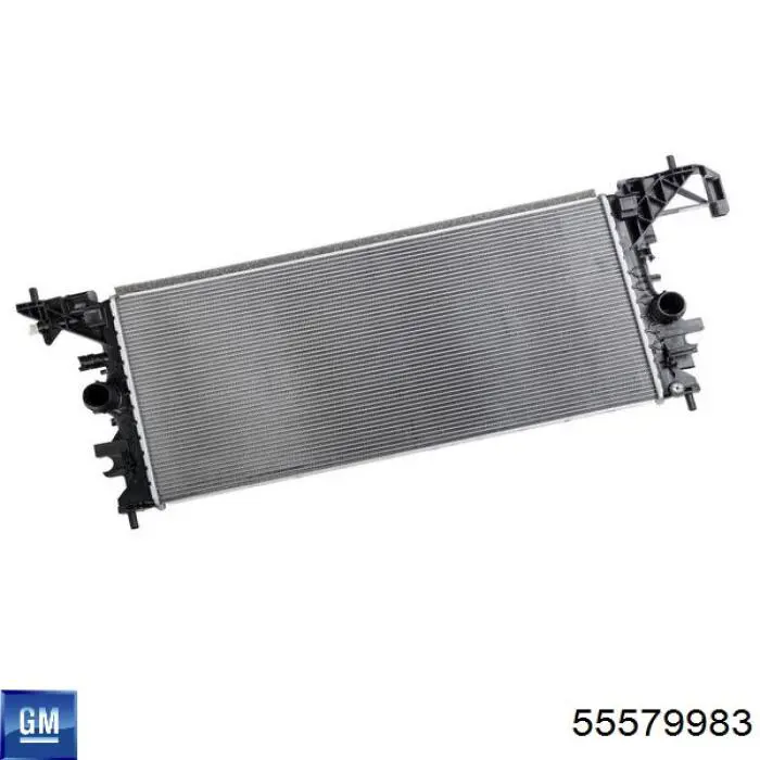 Прокладка водяної помпи General Motors 55579983 ціна, від 7.11 USD