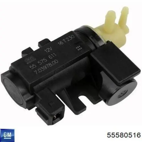 55580516 General Motors 