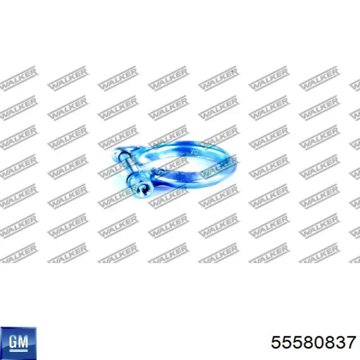 55580837 General Motors 