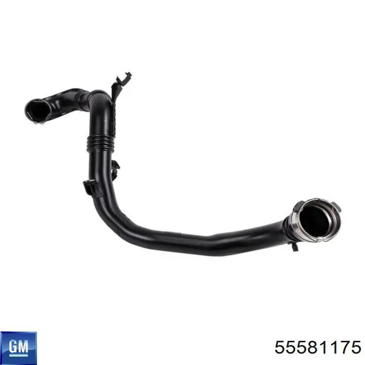 Купити 55581175 General Motors 