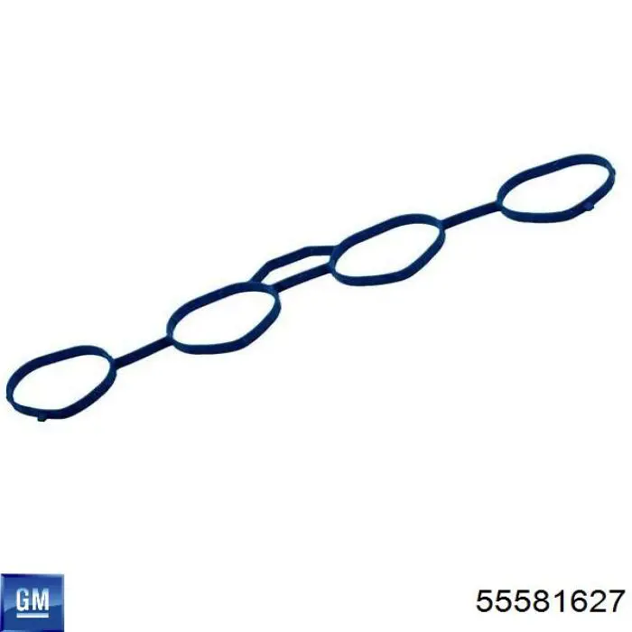 55581627 General Motors 