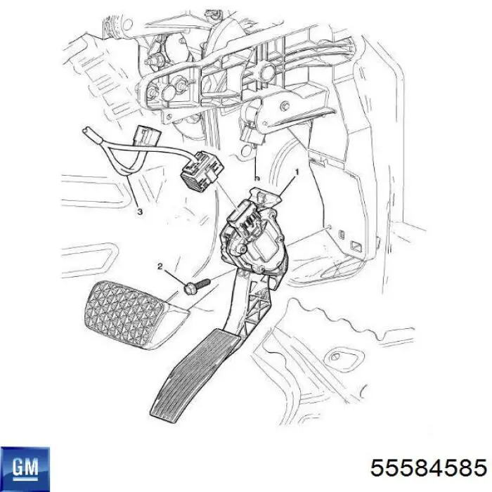 55584585 General Motors 