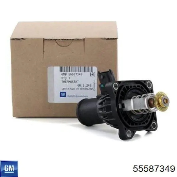 Купити 55587349 General Motors Термостат в корпусі