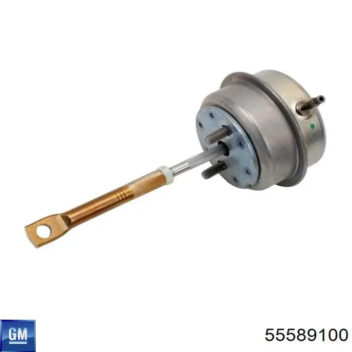 55589100 General Motors 