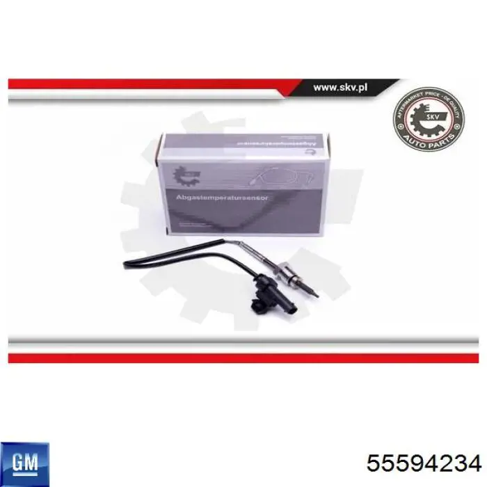  55594234 General Motors