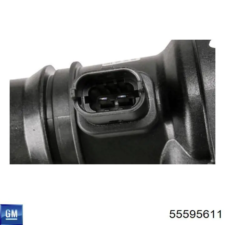 55595611 General Motors 