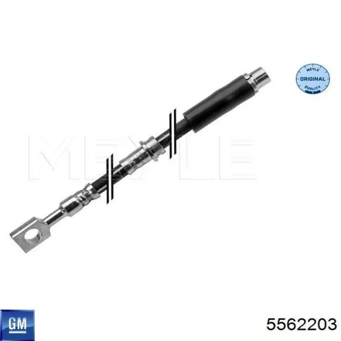 Шланг гальмівний передній General Motors 5562203 ціна, від 16.02 USD