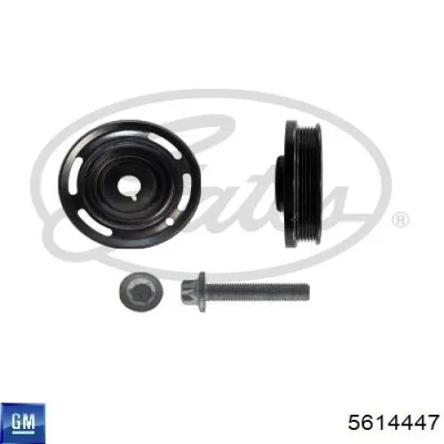 Шків колінвала (демпфер ) General Motors 5614447 ціна, від 32.03 USD