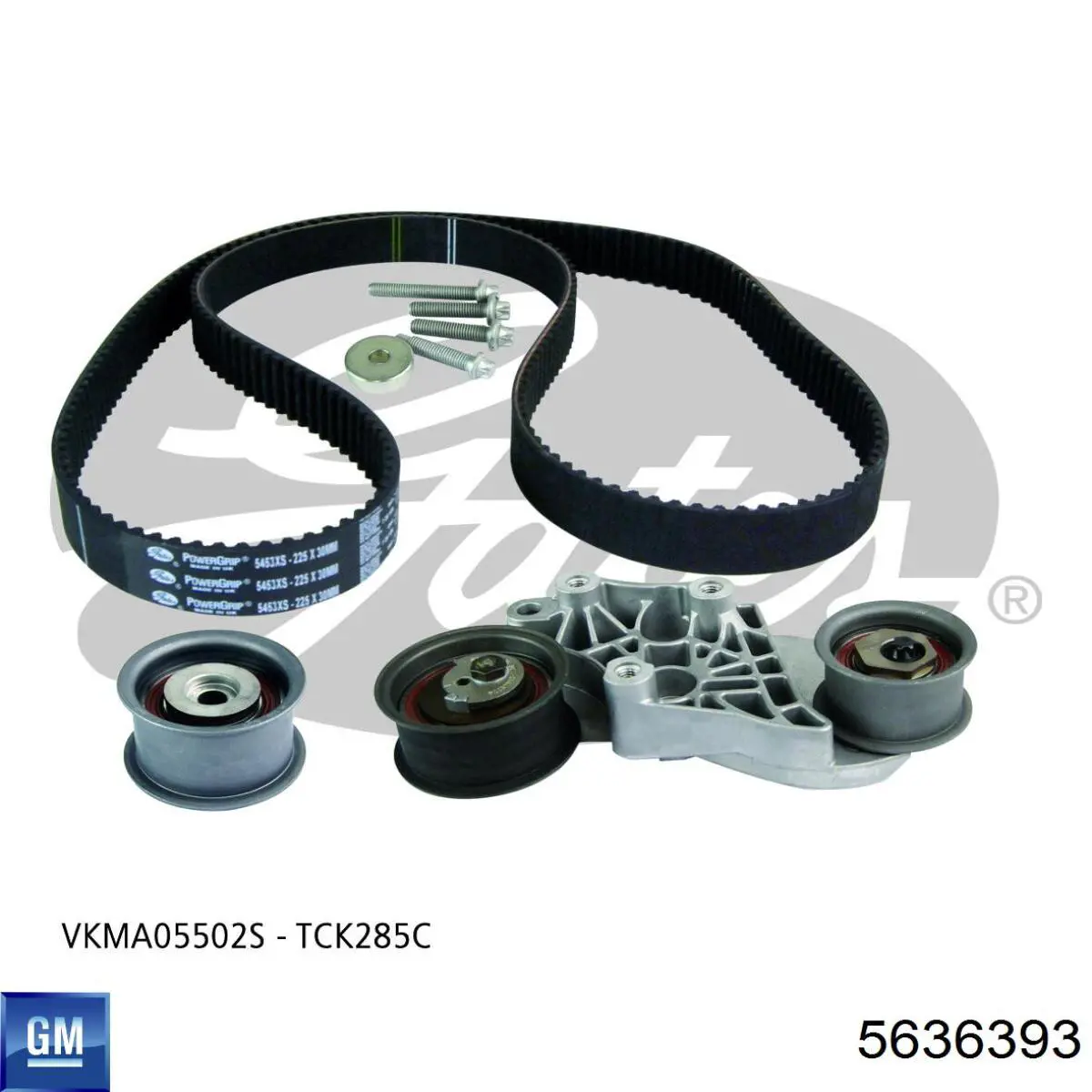 5636393 General Motors Ремінь ГРМ, комплект