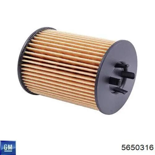 Масляний фільтр двигуна General Motors 5650316 ціна, від 4.88 USD