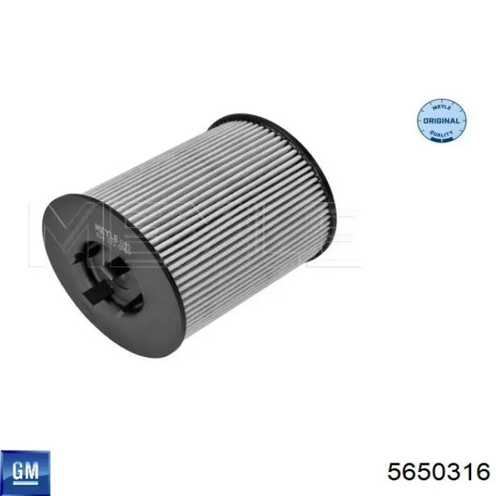 Купити 5650316 General Motors Фільтр очищення масла відцентровий