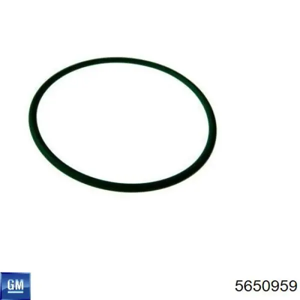 Кільце кришки масляного фільтра внутрішнє Opel Insignia A (G09) (Опель Інсігнія)