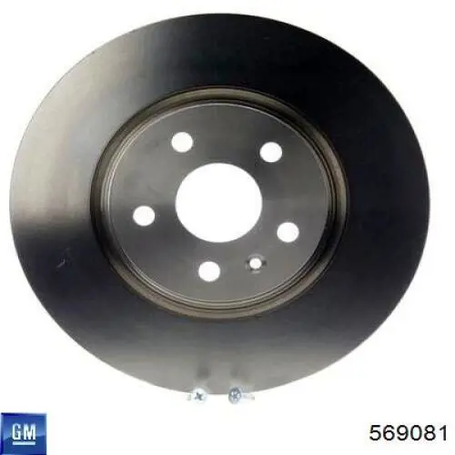 Гальмівні диски передні 569081 General Motors