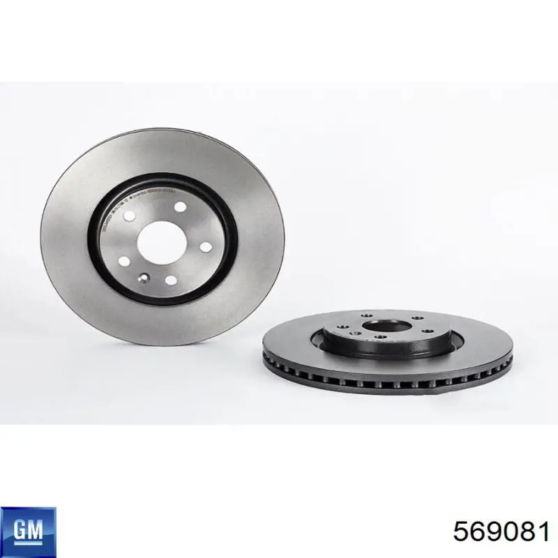 Диск переднього гальма General Motors 569081 ціна, від 71.73 USD