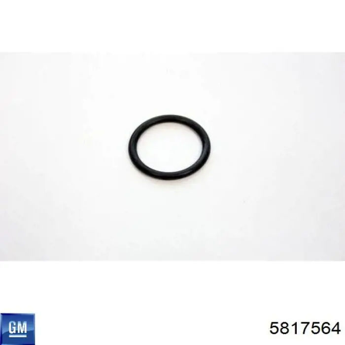 5817564 General Motors Ремкомплект форсунки