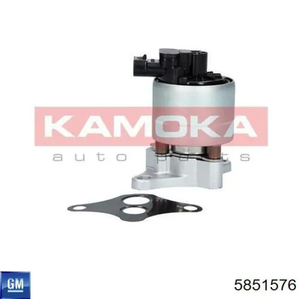 Клапан EGR General Motors 9198821 ціна, від 52.42 USD