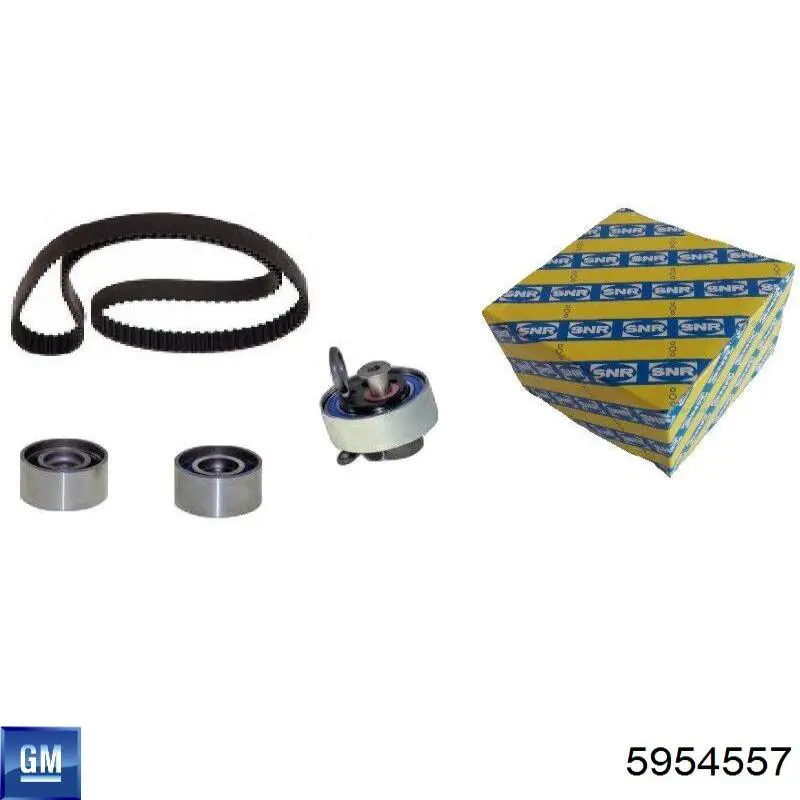 Ремінь ГРМ 5954557 General Motors