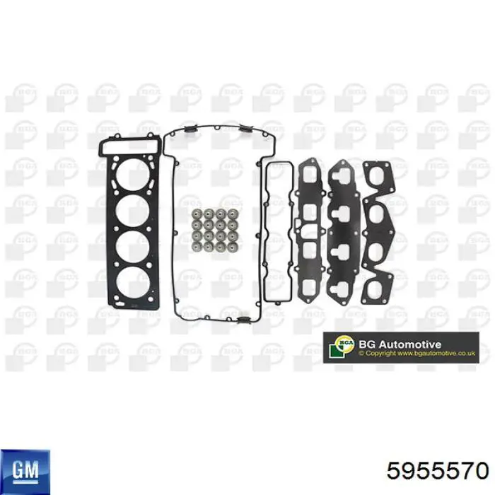 5955570 General Motors Сальник клапана (Маслос'емниє), впуск/випуск