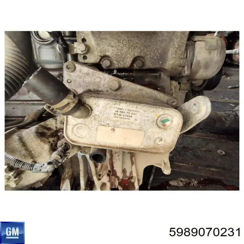Радіатор масляний (холодильник), під фільтром 5989070231 General Motors