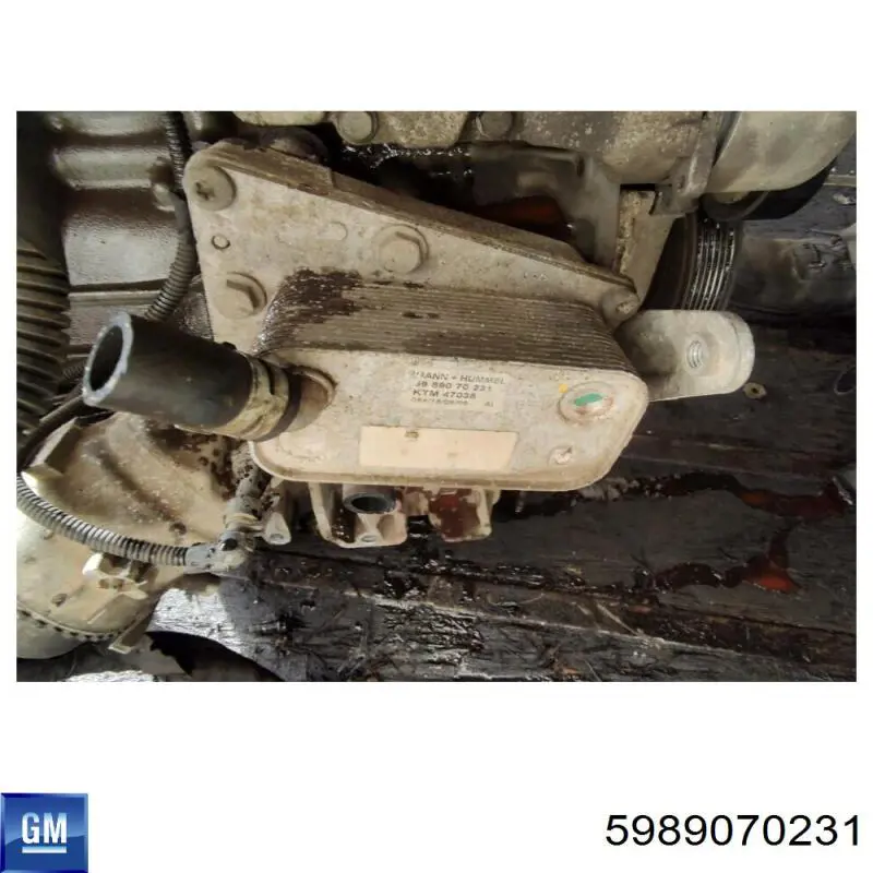 5989070231 General Motors Радіатор масляний (холодильник), під фільтром