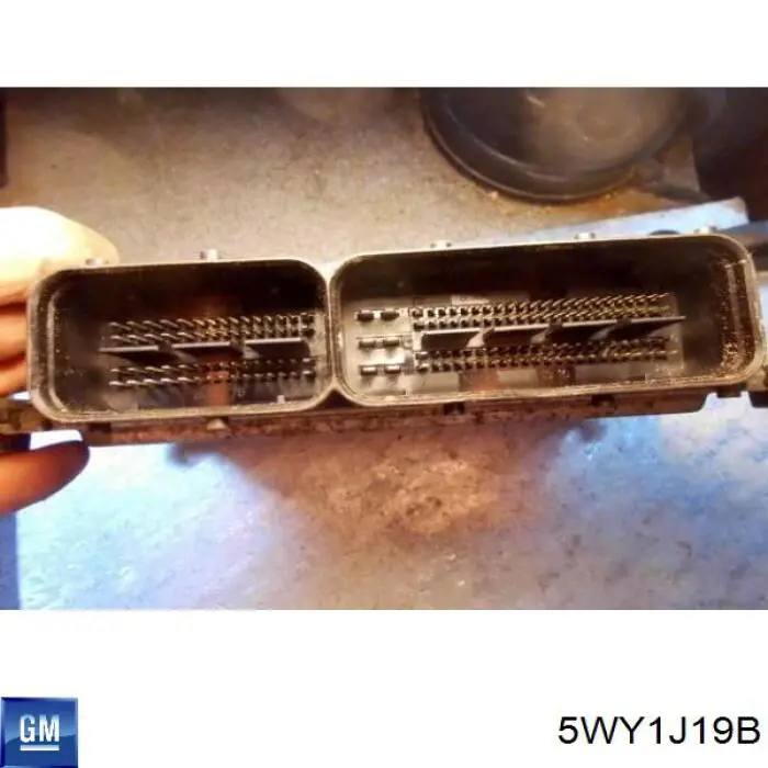 Купити 5WY1J19B General Motors 
