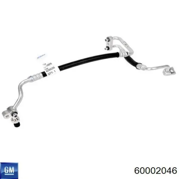  General Motors 60002046