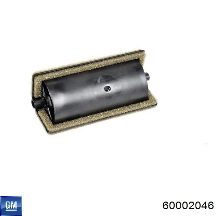 60002046 General Motors 