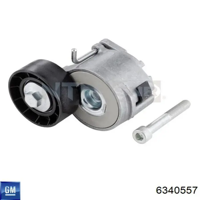 Натягувач приводного ременя General Motors 6340557 ціна, від 32.76 USD