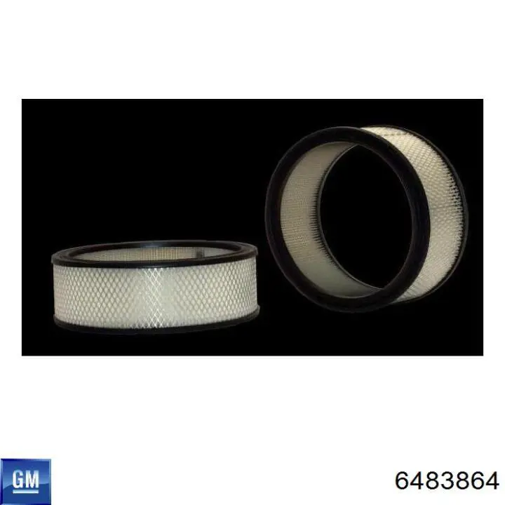 6483864 General Motors Повітряний фільтр двигуна