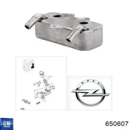 Радіатор масляний General Motors 650607 ціна, від 30.14 USD