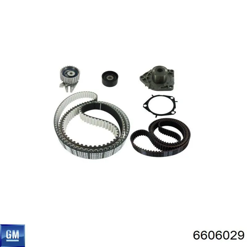Комплект ГРМ General Motors 6606029 ціна, від 87.03 USD