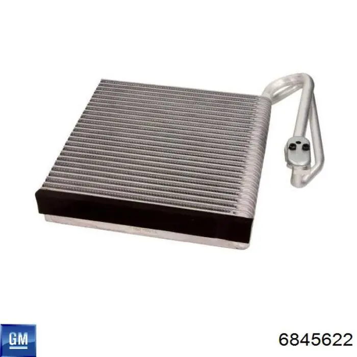 Випаровувач кондиціонера 6845622 General Motors