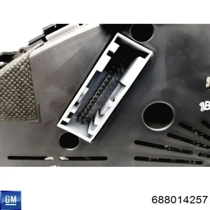 688014257 General Motors 