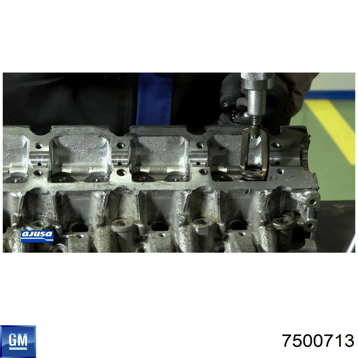 Купити 7500713 General Motors Сальник клапана (маслознімний), впуск/випуск, комплект на мотор