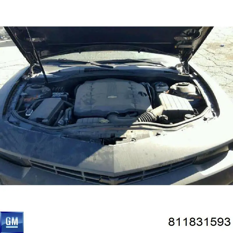  811831593 General Motors