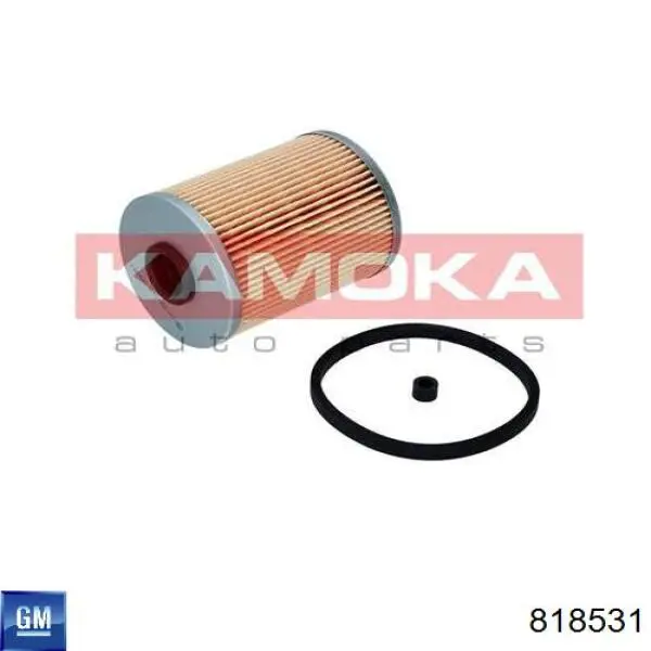 818531 General Motors Фільтр палива