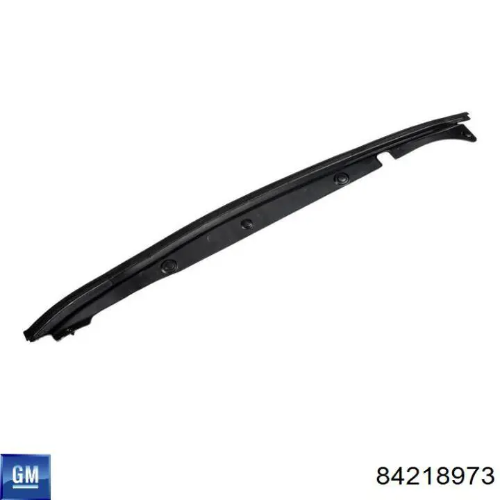 84218973 General Motors 