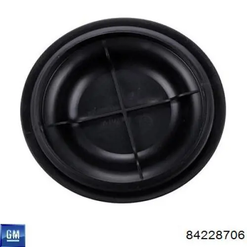 Водостік лобового скла, жабо General Motors 23404975 ціна, від 31.15 USD